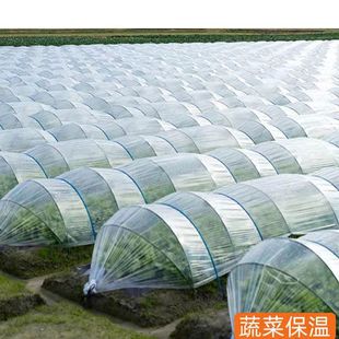 大棚内膜二膜二层膜中膜小拱棚透明白膜砂糖橘1.4 6s保温塑料薄膜