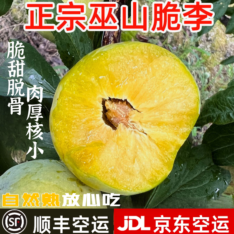 重庆巫山曲尺脆李正宗新鲜脱骨李当季整箱水果李子礼盒顺丰包邮