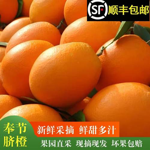 正宗奉节脐橙当季新鲜顺丰包邮