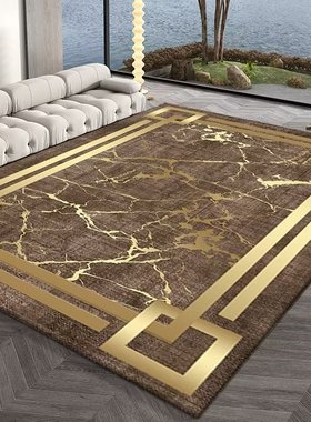 定制黄色地毯门垫进l门客厅2023咖黄色地毯新款轻奢高级感金色地