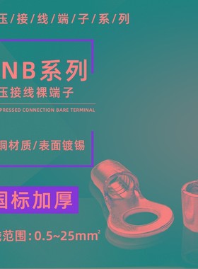 国标加厚RNeB1.25/2/3.5/5.5/8/14/22圆形裸端子镀锡铜线耳铜鼻子