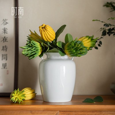 大口径佛手柑花瓶餐桌高级感陶C瓷佛手果水培器皿水养佛手托盘