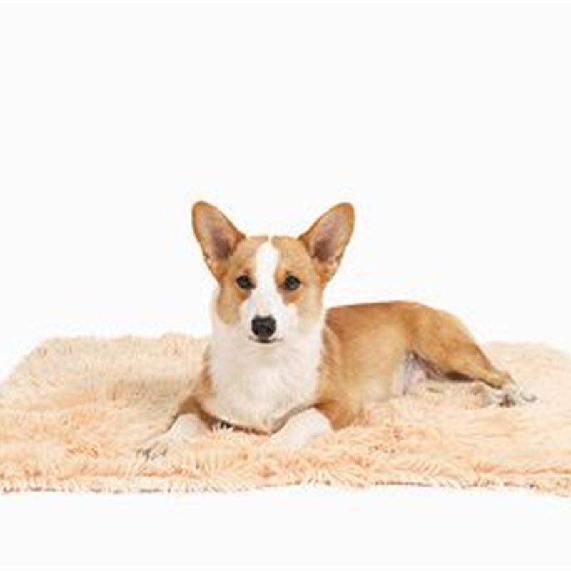 长毛绒宠物垫双层宠物毛毯金毛大中小型犬狗垫子猫咪毯子,纺织面料/辅料/配套,绒布,淘宝优惠券,粉丝福利购,淘宝优惠卷