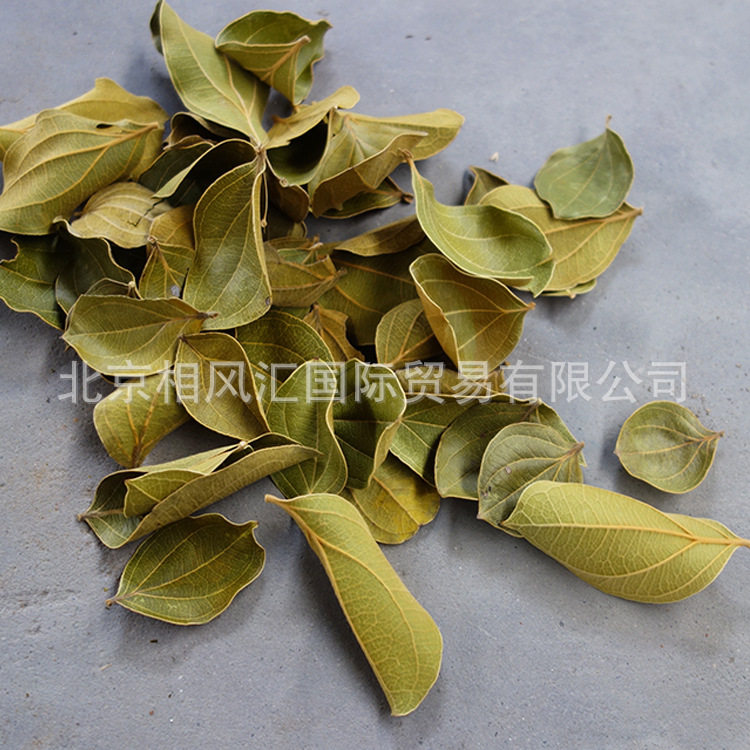 【藜麦叶】进口干花干树叶干枝干果花材配材装饰摆设拍照花束