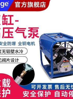 Duge都格双缸高压气泵30mpa水冷高压充气泵40mpa电动打气机设定款