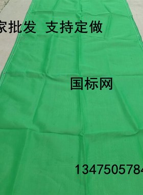 国标密目式安全立网平网防坠防护建F筑网聚乙烯原生料绿色蓝色