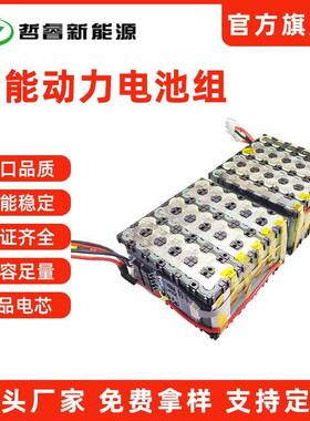 储能动力电池组12v30Ah24v20Ah48v20Ah217002665032700电池组