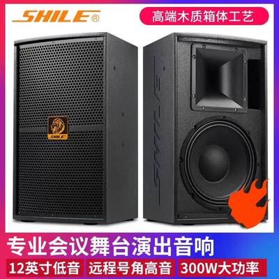 狮乐BM99专业音响舞台演出会议家庭卡拉OK舞蹈室KTV高档12寸音箱