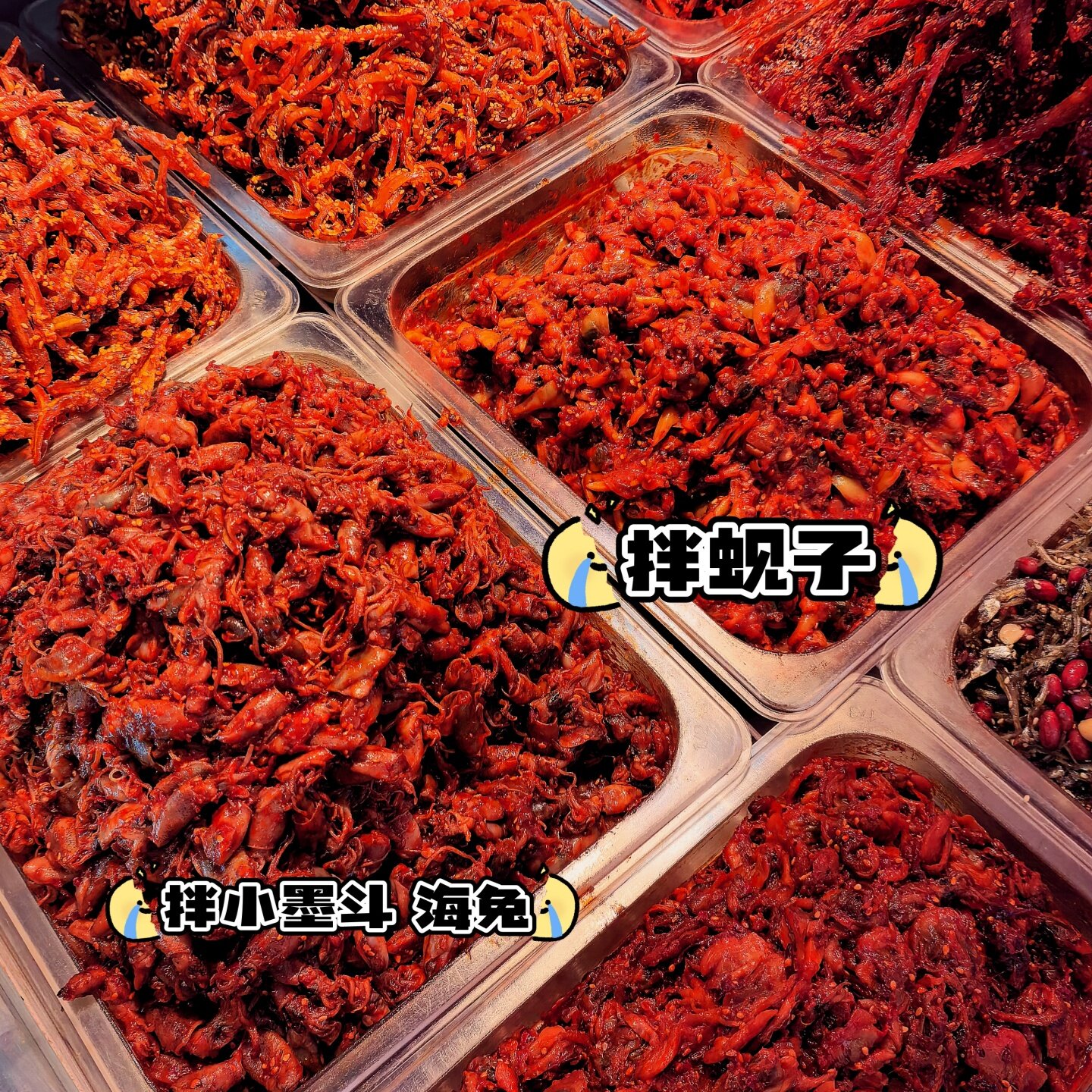 沈阳西塔美食街咸菜泡菜下饭菜生八爪鱼酱拌海鲜毛蚶海兔香辣墨斗