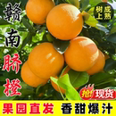 江西橙子赣南脐橙新鲜水果官方果冻橙子整箱10斤橙子小果顺丰可选