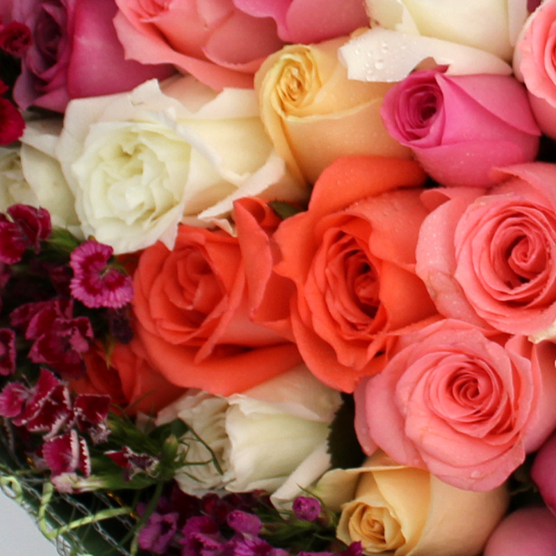 情人节混搭花束各种99朵红香槟粉紫玫瑰花束北京同城鲜花速递配送