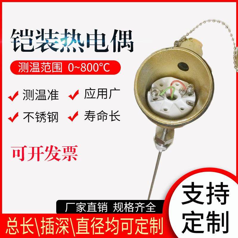 WRNK-321铠装热电偶,快速响应K型热电偶 PT100可弯曲测温探头