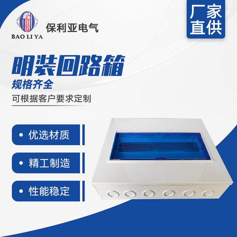 明装回路箱PZ30照明配电箱6#-60#回路空气开关盒家用强电箱现货