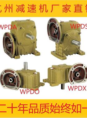 WPDA/WPDS/WPDO/WPDX50607080100120蜗轮蜗杆铁壳WP减速机