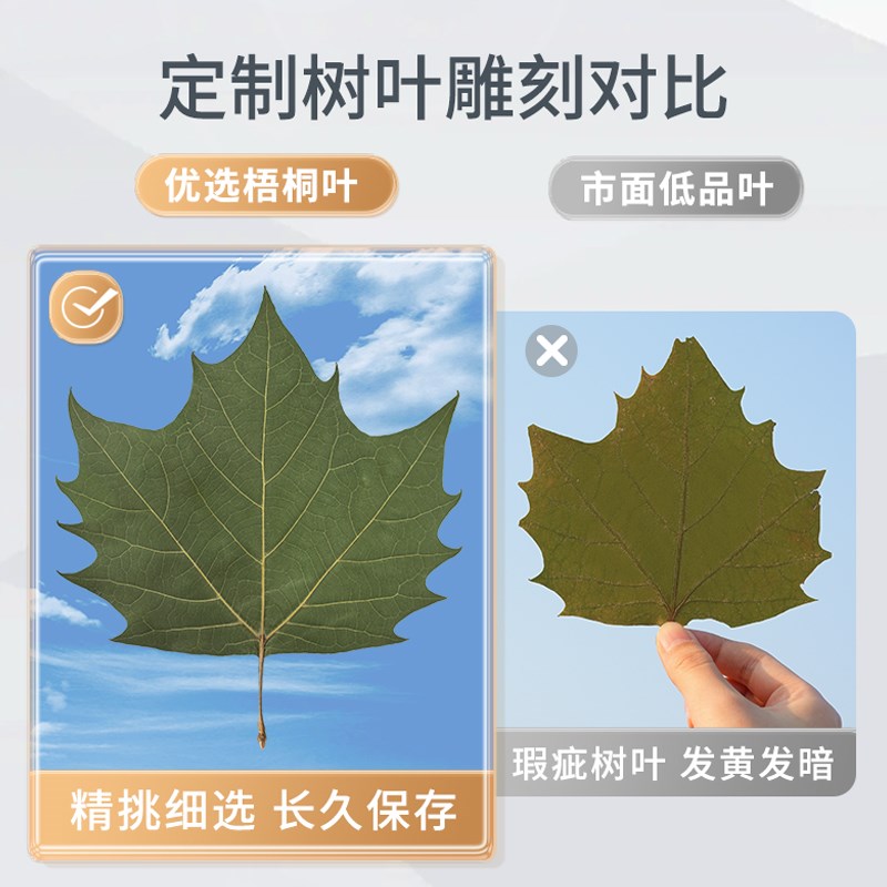 梧桐树叶雕刻照片定制礼品叶子雕刻生日情人节礼物送女友叶雕闺蜜