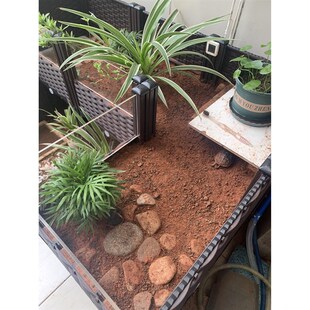 黄缘养殖箱龟专用养宠物陆龟乌龟黄缘幼龟饲养缸透明玻璃爬虫盆