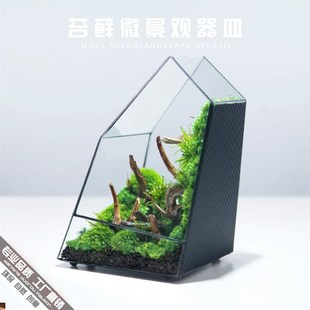 苔藓微景观生态瓶制作材料雨林z缸造景花盆绿植盆栽玻璃花房花器