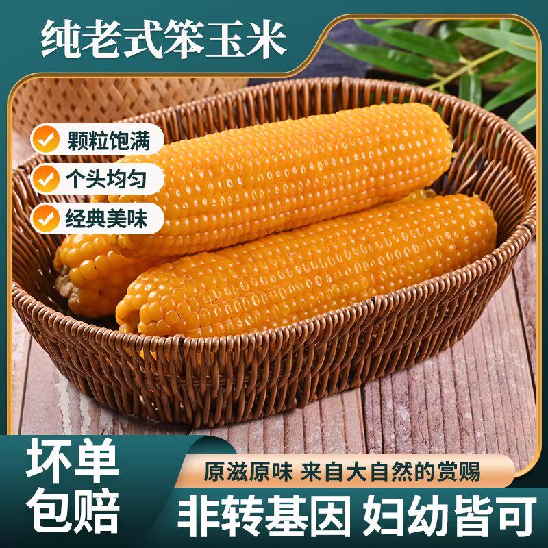 老式笨玉米真空即食山东新鲜苞米