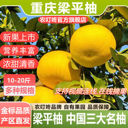 农叮咚【品牌直营】重庆梁平柚平顶梁山白心麻子柚水果 三大名柚