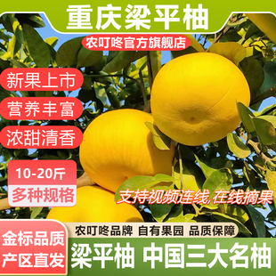 农叮咚【品牌直营】重庆梁平柚平顶梁山白心麻子柚水果 三大名柚