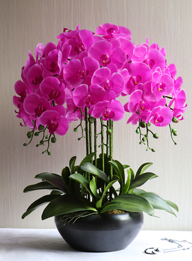 假花超真超大盆栽黄色蝴蝶w兰仿真花套装客厅玄关装饰花艺摆件