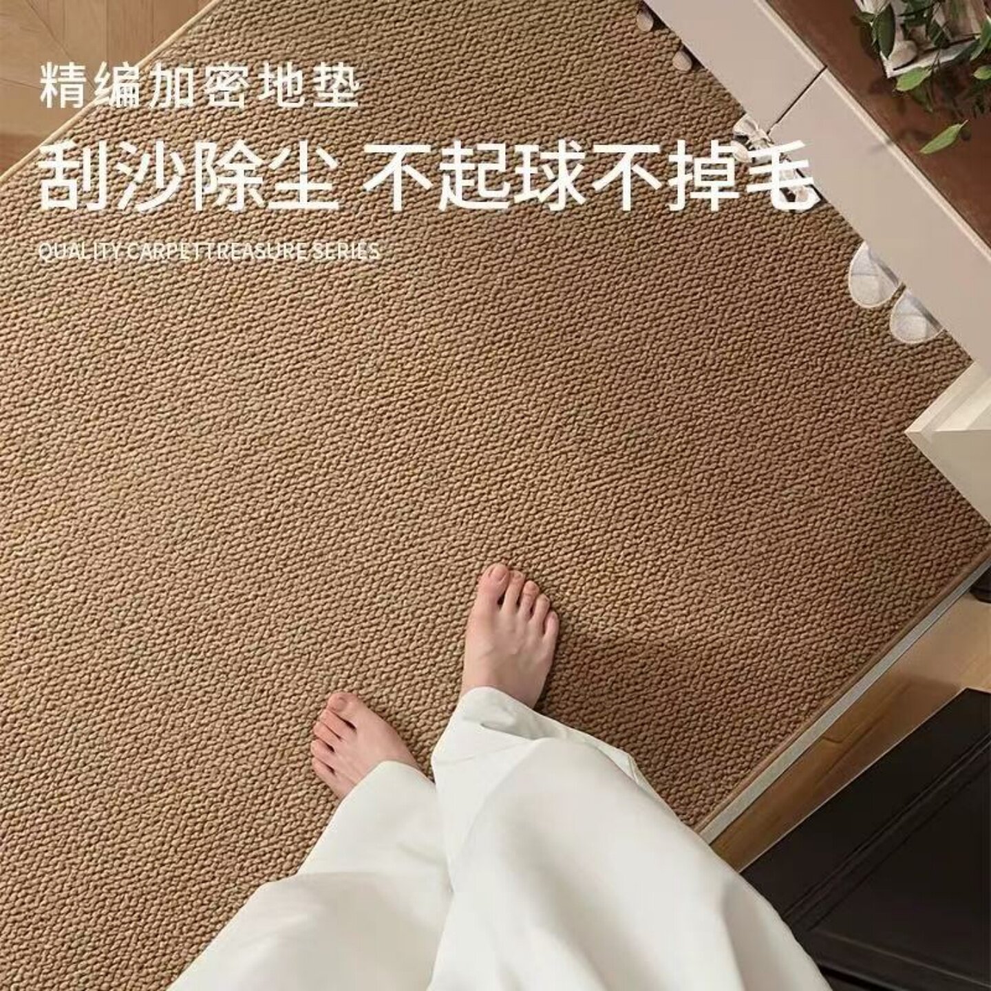 仿剑麻入户门垫可裁剪定制防猫爪图片