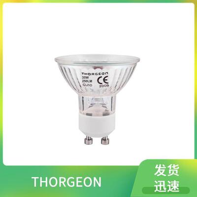 带点火器09006THORGEON壁灯泛光灯PRO筒灯19011-BL