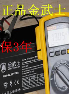 金武士蓄电池PW38-12（12v38ah）生产
