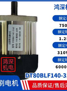 DT80BLF140-3160鼎拓达80直流无刷马达带风扇750W6000转310VDC