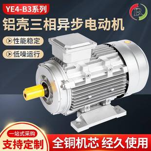 YE4 B3铝壳三相异步电动机 高能效卧式电动机380V纯铜电机 2-8极