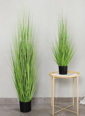 室内大型仿真绿色植物洋葱草盆景 商场橱窗布置仿真假花纯草盆栽