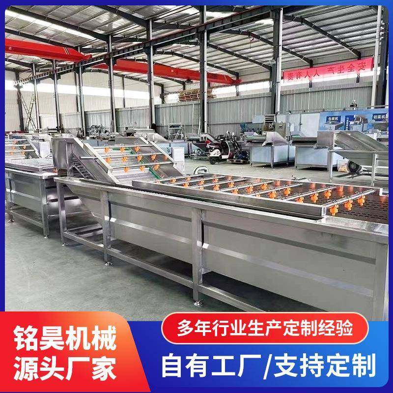 多功能果蔬气泡清洗机大型蔬菜水果清洗去泥机气泡净菜加工设备,清洗/食品/商业设备,其他食品加工设备,淘宝优惠券,粉丝福利购,淘宝优惠卷