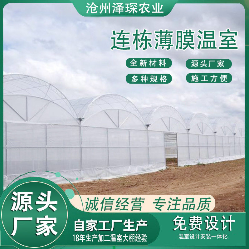 联栋薄膜温室大棚 花卉种植连体温室花棚 大棚骨架蔬菜种植大棚