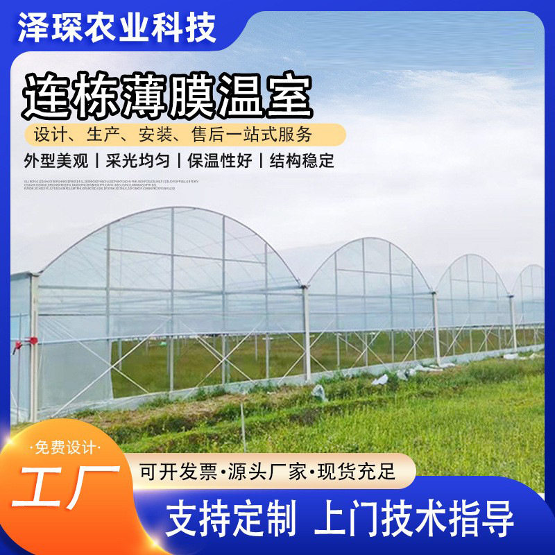 连栋薄膜温室大棚温室连体棚蔬菜大棚蘑菇棚蔬菜棚自动灌溉大棚膜