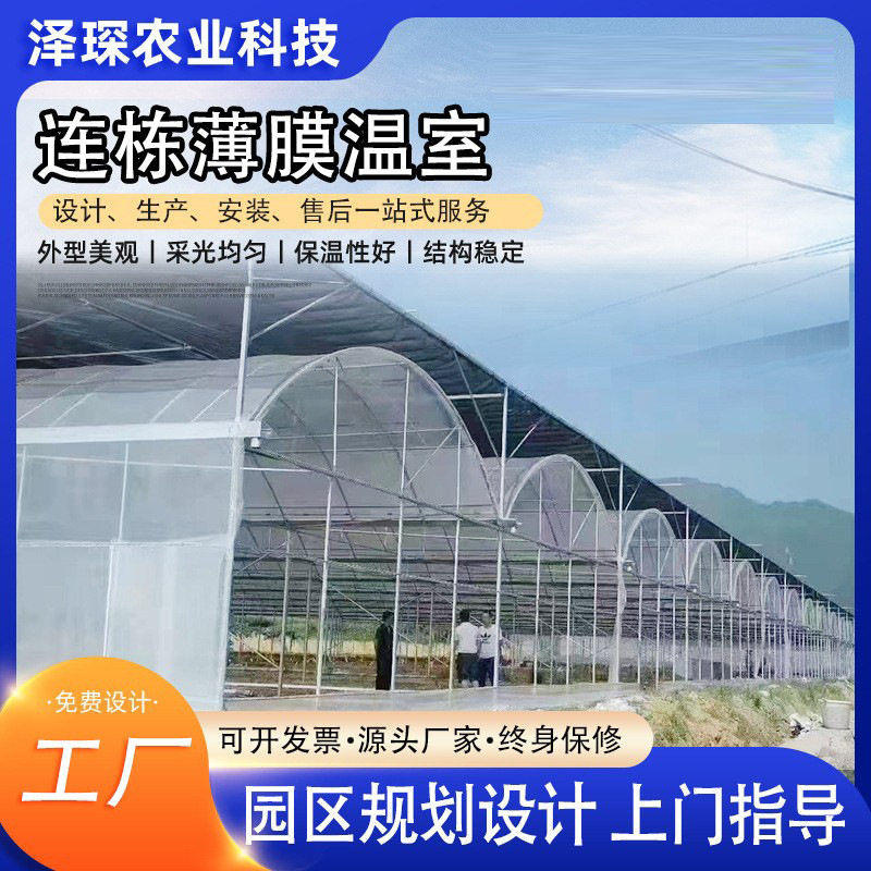厂家直供连栋薄膜温室 育苗观光连栋大棚 蔬菜种植联动大棚