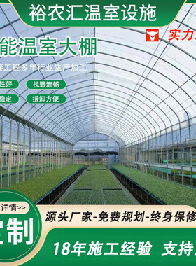 连体温室 外遮阳连栋棚温室大棚 工程建设大棚 连栋薄膜温室大棚