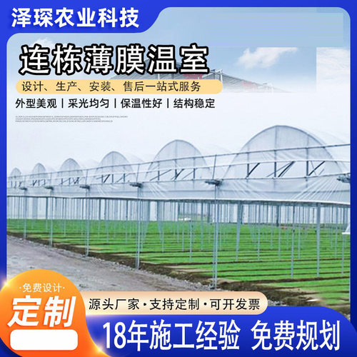 花卉种植连栋薄膜育苗大棚  连栋温室蔬菜大棚   种菜棚架