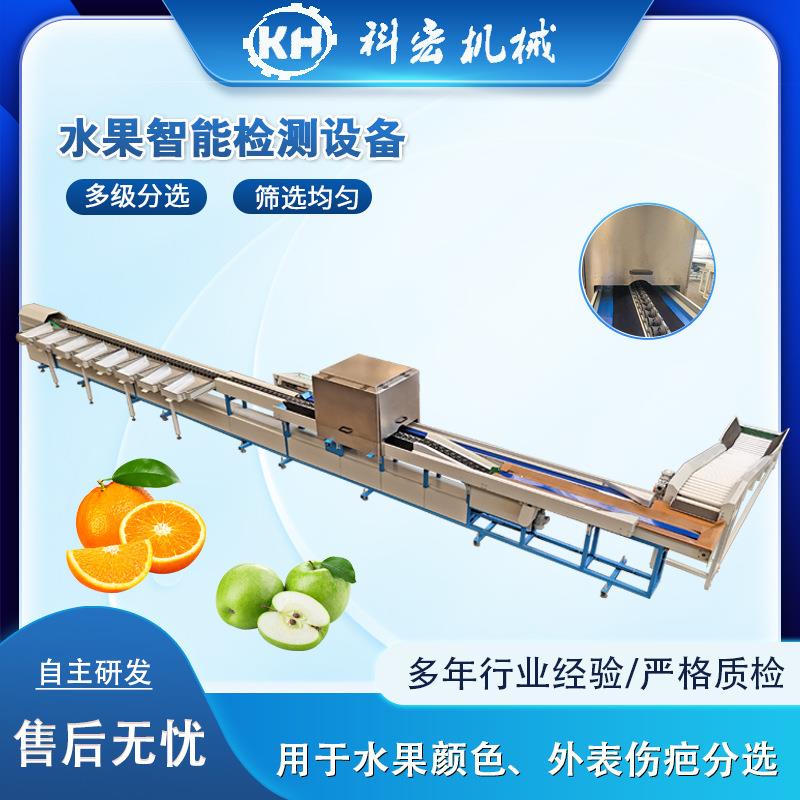 水果智能外部检测分选机 苹果油桃颜色检测 外部伤疤分拣