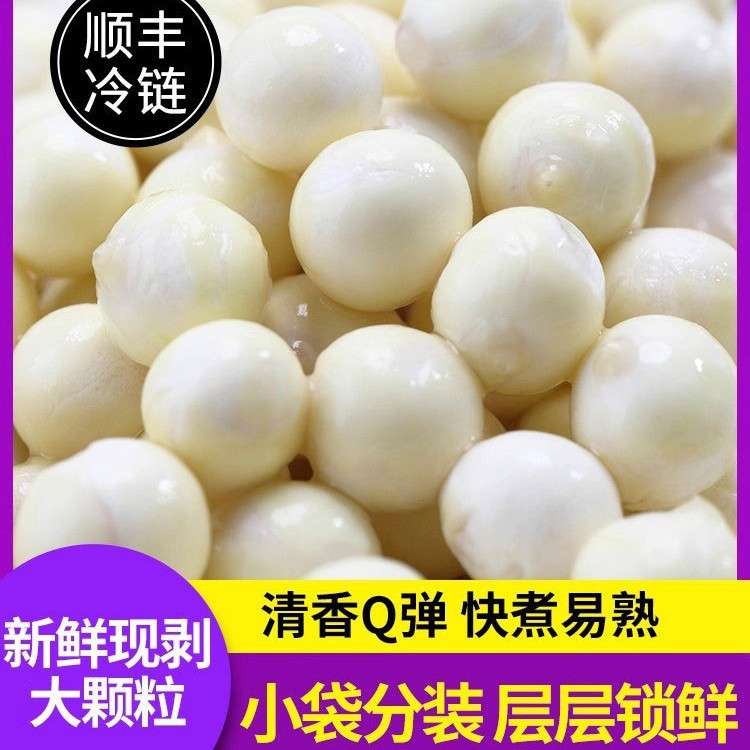 津秋阳澄2025鸡头米大颗粒苏州特产当季新鲜芡实非干货手剥鲜茨实