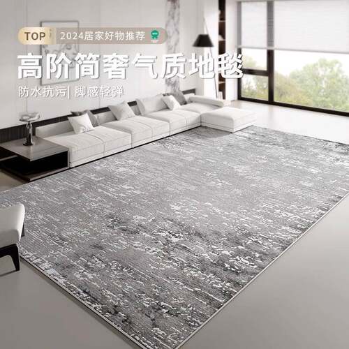 防水地毯卧室客厅2024新款大面积全铺免洗可擦免打理地垫轻奢高级