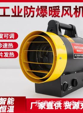 厂家直销防爆工业电热暖风机养殖场取暖器热风机BGP1308-03-19G