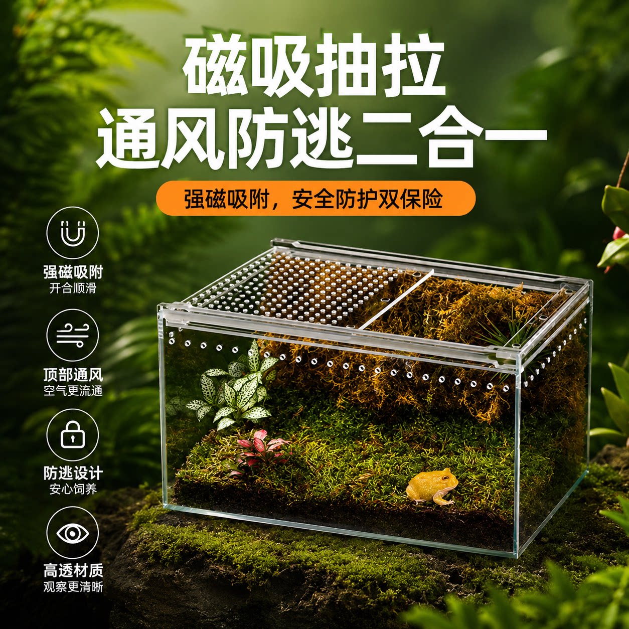 爬宠缸高清透明一体免组装寄居蟹饲养盒角蛙蜥蜴蝎子蛇生态饲养箱