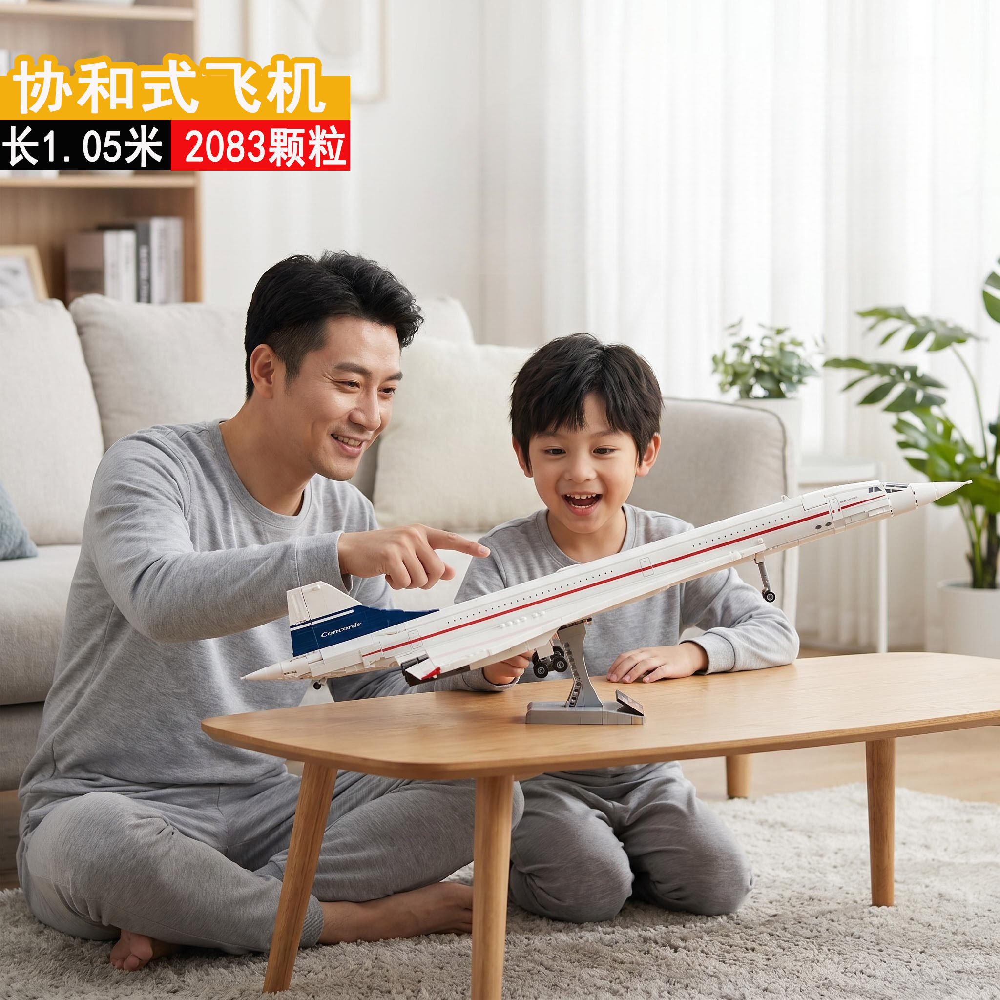 拼装积木玩具飞机客机