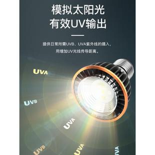 新型取暖灯泡宠物保暖灯爬宠加热夜灯龟缸灯乌龟晒背灯usb杀