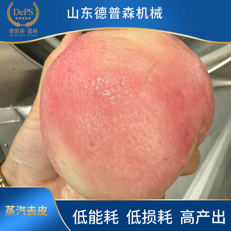 大型水蜜桃猕猴桃果蔬纯物理高温剥皮设备全自动红薯莲藕去皮机