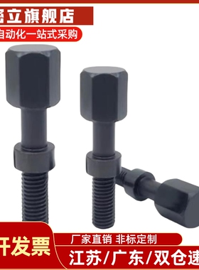 AJSTC/AJSTCF 粗牙细牙调整螺栓 六角头尺寸简易型 PAY21/PAY31