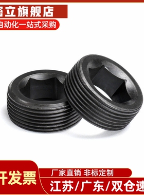 通孔型内六角螺塞MSWA8/10/12/14/16/18/20/24/26/28/30