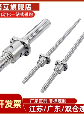滚珠丝杆组件BSS BSSE BSSC BSSCK1505 1510 1520 2005 2010 2020