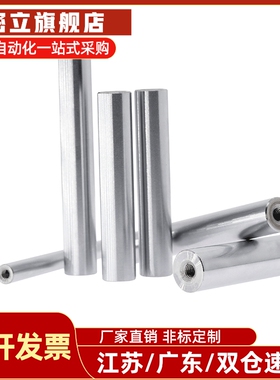 CSFJT CPSFJT SCJ22-D10-L102-M4-N4线性导向轴 一端内螺纹型