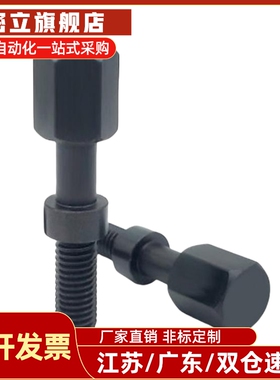 AJSTCM/AJSTCMF 粗牙细牙调整螺栓 六角头尺寸简易型 PAY22/PAY32